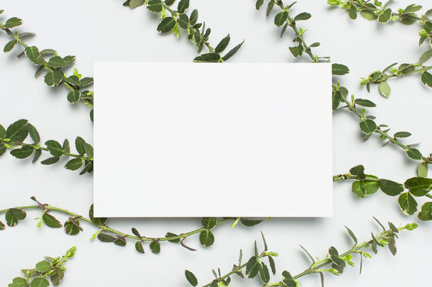 Blank white paper and spring green twigs of plants on gray background top view flat lay copy space. Decorative plant branch, rustic background, flowers composition mockup Minimalistic style - Foto, afbeelding