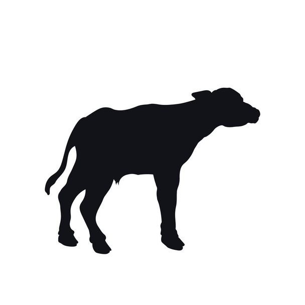 Silhueta preta de búfalo africano pequeno sobre fundo branco. Ícone isolado de bezerro. Animais selvagens de África. Savannah natureza
 - Vetor, Imagem