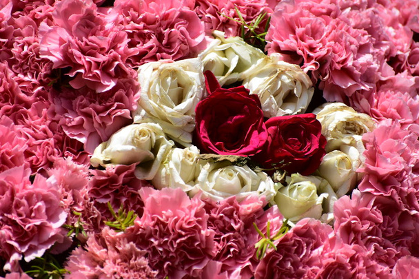Krásné růže v červeném, bílém a růžovém míchaných květinách - Fotografie, Obrázek