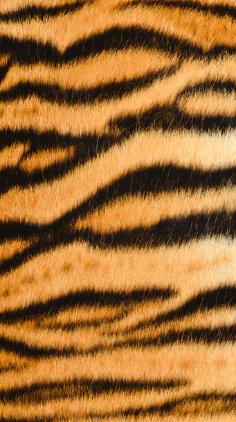 tiger skin - Fotografie, Obrázek