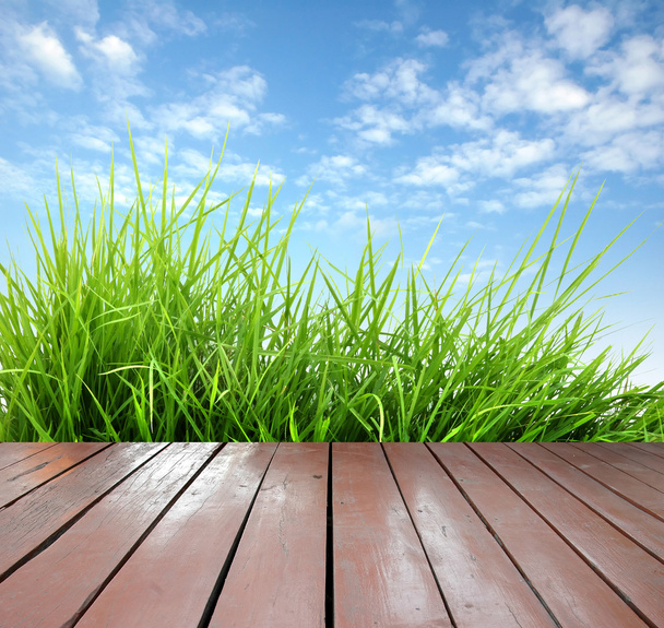 wooden terrace with fresh spring green grass - Photo, Image