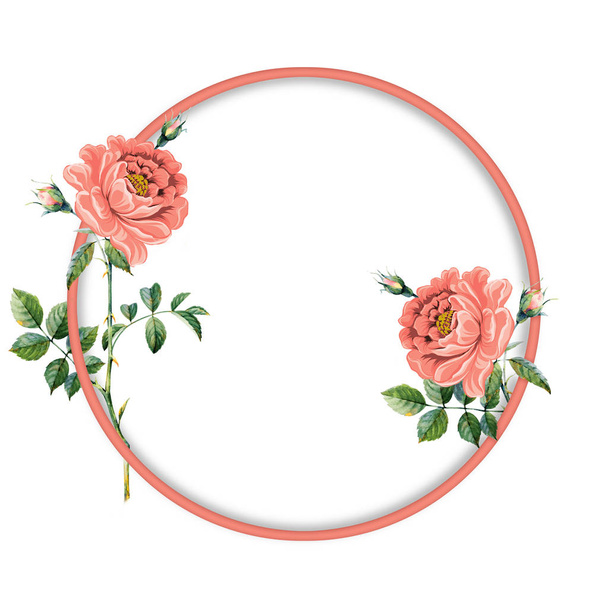 Στρογγυλό πλαίσιο με ροζ vintage τριαντάφυλλο . - Φωτογραφία, εικόνα