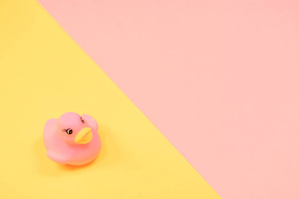 Renkli arka planda kauçuk banyo ördeği. Oyuncak kauçuk ördek üzerinde üst görünümü. Çocuk ördek yüzen için oyuncak oynamak. Pembe, sarı arka plan. - Fotoğraf, Görsel