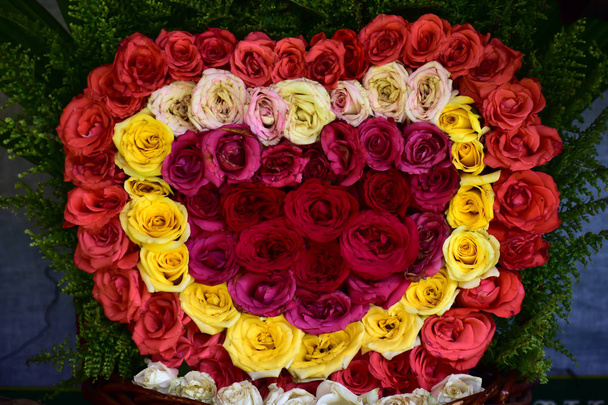 Bonitas rosas en flores mixtas rojas, blancas y rosadas
 - Foto, imagen