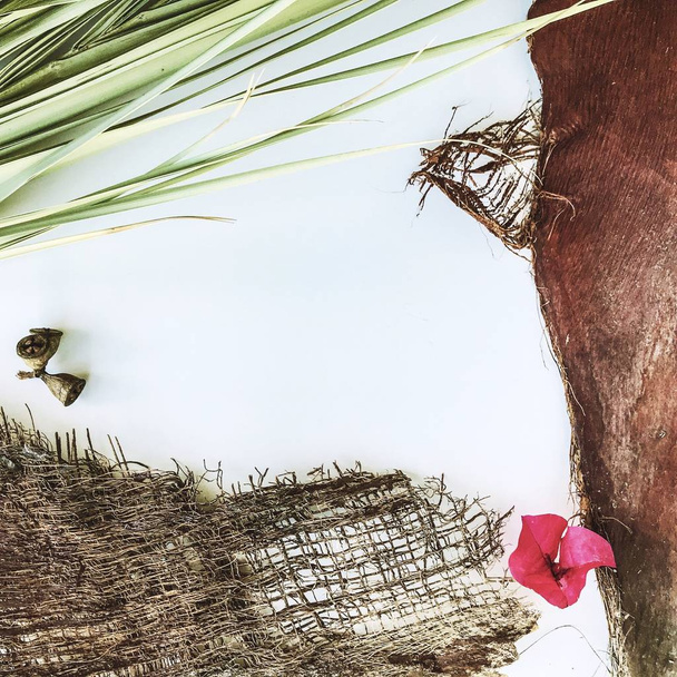 Marco de verano de hojas tropicales, flores y corteza de una palmera
 - Foto, imagen
