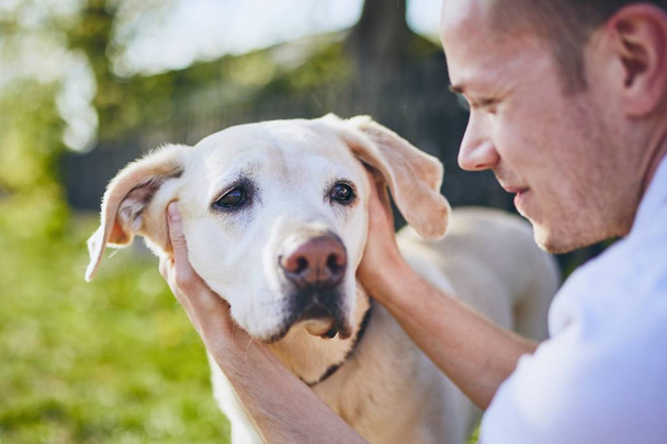 Veselý pes a jeho majitel - Fotografie, Obrázek