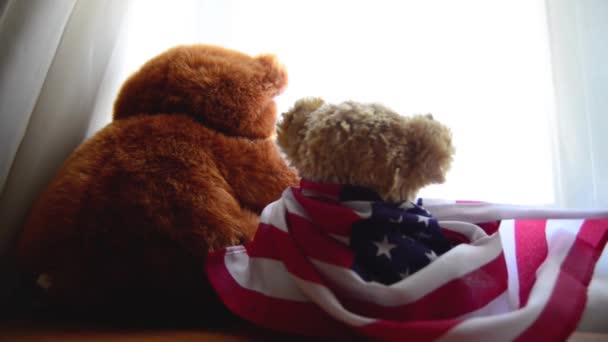 dwa Teddy Bears jeden z amerykańską flagą patrząc przez okno - Materiał filmowy, wideo