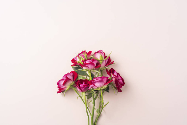 Bunch of red roses on pink background with copy space - Фото, зображення