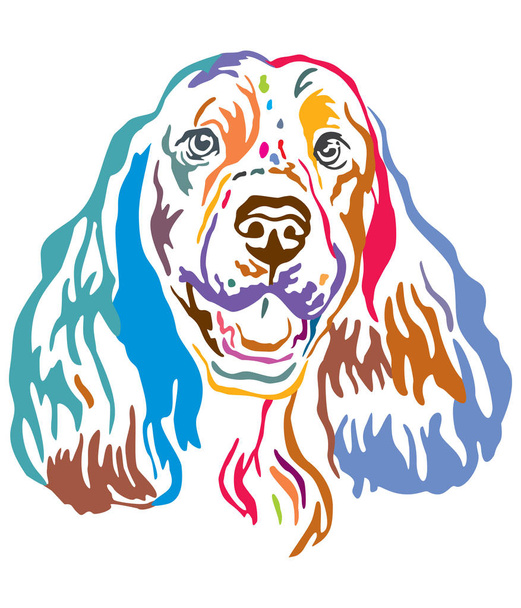 Барвистий декоративний портрет з Springer спанієль собака вектор illu - Вектор, зображення
