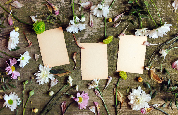 φύλλο πράσινο ροζ λουλούδια λευκό παλιό ξύλινο φόντο κορυφή θέα χώρα πλευρά σημειωματάριο φύλλων - Φωτογραφία, εικόνα