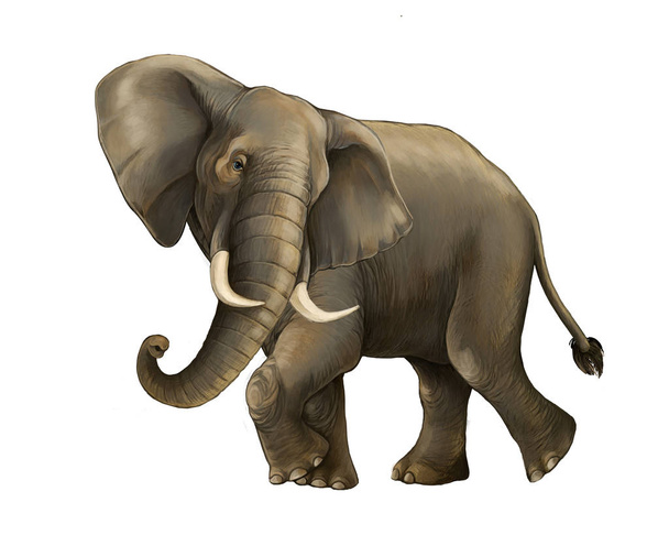 scena del fumetto con grande elefante su sfondo bianco safari illustrazione per bambini
 - Foto, immagini