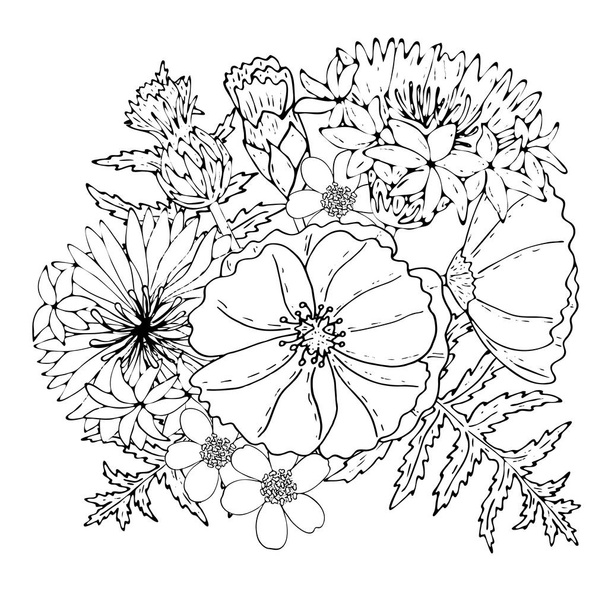 Modelo floral com flores de campo de linha preta
 - Vetor, Imagem