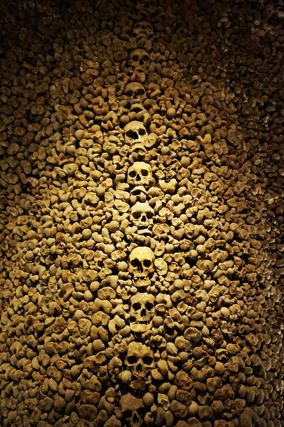 Human bones and skulls as pirate texture - Photo, Image