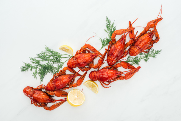 top view of red lobsters, lemon slices and green herbs on white background - Foto, imagen