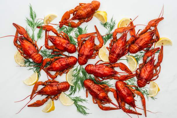 top view of red lobsters, lemon slices and green herbs on white background - Fotografie, Obrázek