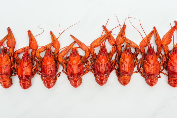 top view of red lobsters on white background - Foto, immagini