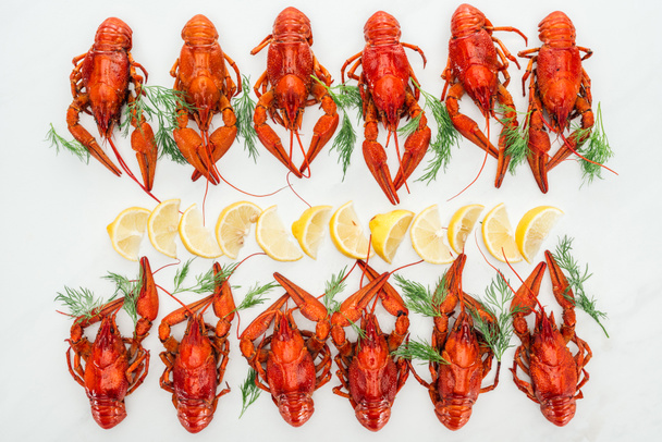 top view of red lobsters, lemon slices and green herbs on white background - Foto, afbeelding