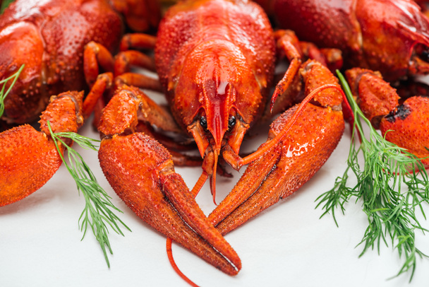 close up view of red lobsters and green herbs on white background - Foto, Imagen