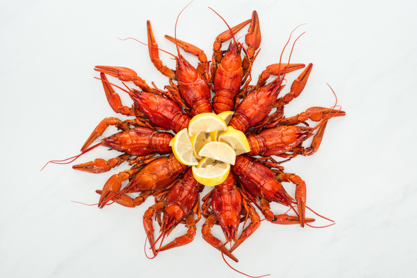 top view of red lobsters and lemon slices on white background - Fotografie, Obrázek