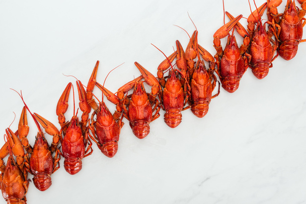 top view of red lobsters on white background - Foto, Bild