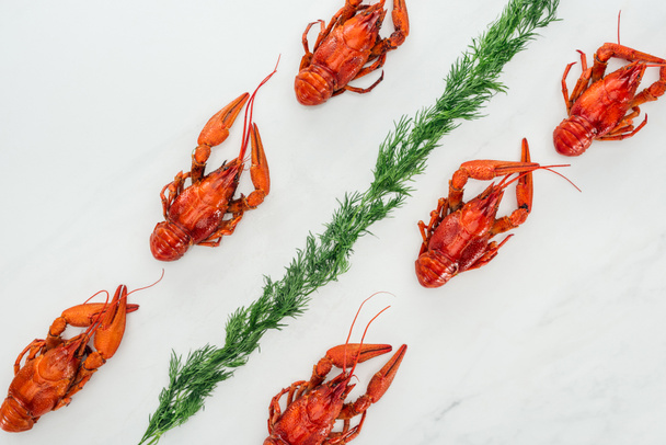 top view of red lobsters and green herbs on white background - Foto, Bild