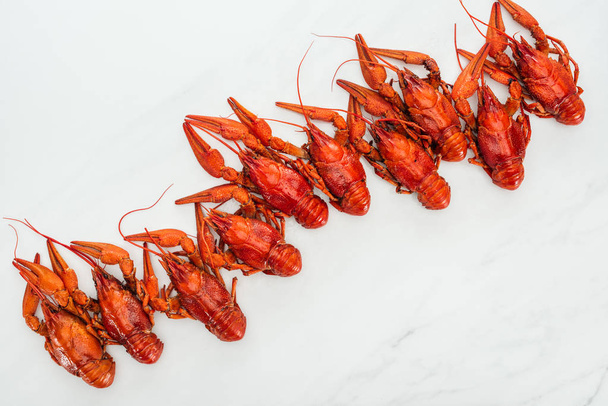 top view of red lobsters on white background - Fotoğraf, Görsel