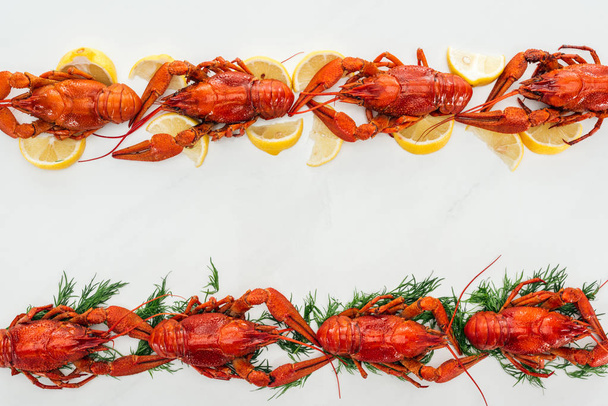 top view of red lobsters on lemon slices and green herbs on white background - Foto, Bild