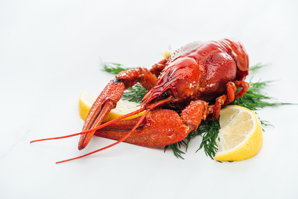 red lobster with lemon slices and green herbs on white background - Photo, Image