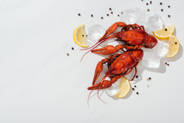 top view of red lobsters, peppers, lemon slices and ice cubes on white background - Photo, Image