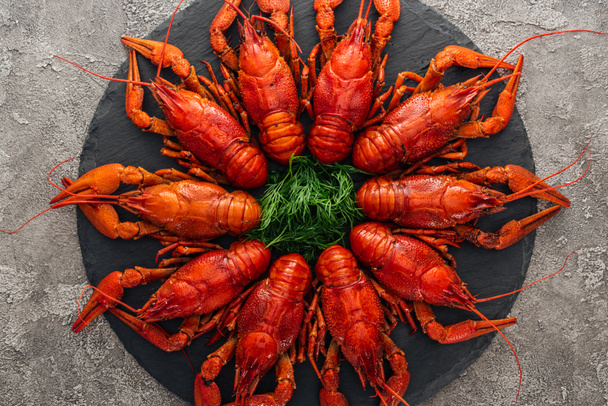 top view of black plate with red lobsters and green herbs on grey textured surface - Photo, Image