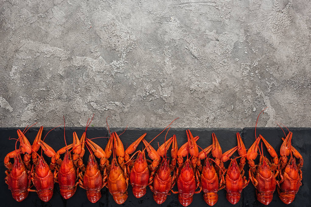 top view of black plate with red lobsters on grey textured surface - 写真・画像