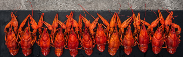 panoramic shot of black plate with red lobsters on grey textured surface - Foto, afbeelding