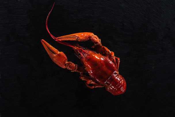 vue de dessus du homard rouge sur la surface noire
 - Photo, image