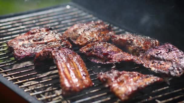 Sabrosas costillas cocinando en la parrilla barbacoa para la fiesta al aire libre de verano
 - Imágenes, Vídeo