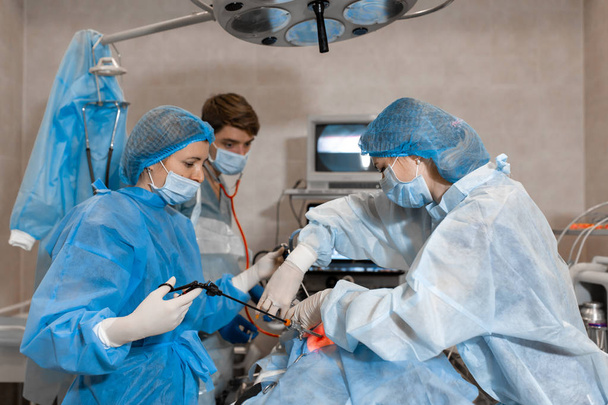 Ветеринар виконує операцію по стерилізації. Кіт на операційному столі у ветеринарній клініці. Кіт у ветеринарній хірургії, матка і яєчники кота під час операції
 - Фото, зображення