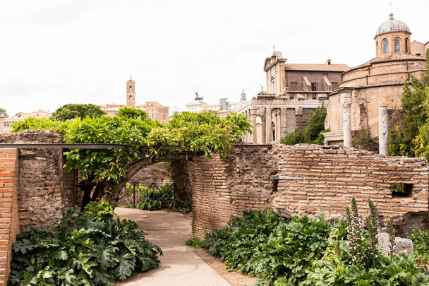 ROME, ITALY - JUNE 28, 2019: ancient buildings, brick walls and green plants in rome, italy - Photo, image