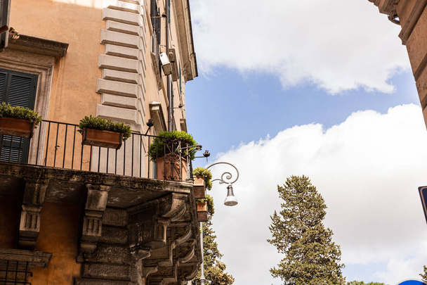 buildings with plants in flowerpots in rome, italy - Photo, Image