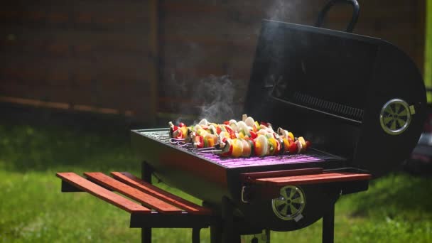 Colorful and tasty grilled shashliks on outdoor summer barbecue - Footage, Video