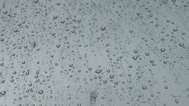 jours de pluie, forte pluie tombant sur la surface de la fenêtre
. - Séquence, vidéo