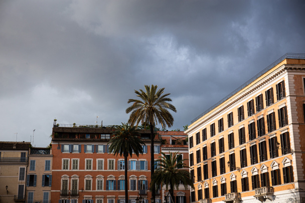 gebouwen en exotische palmbomen onder overgegoten hemel in Rome, Italië - Foto, afbeelding