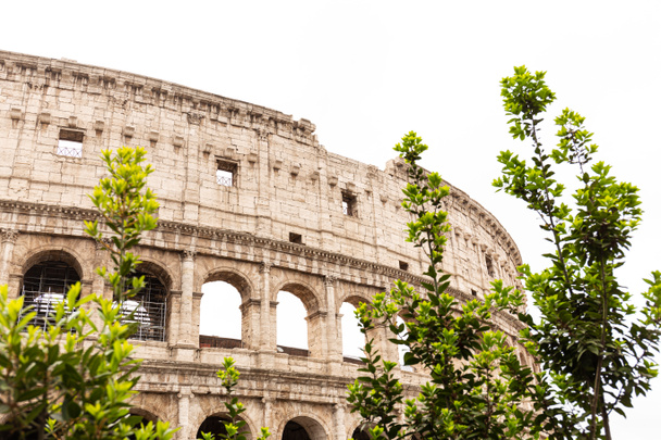ROME, ITALY - JUNE 28, 2019: ruins of colosseum and green trees under grey sky - Foto, Imagen
