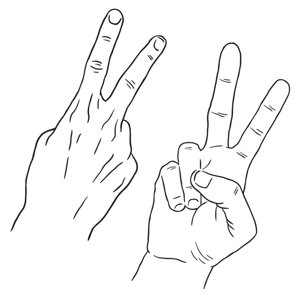 Drawing of Hand in Black Line Art, Two Finger, Number 2, Peace Sign, Hand Drawing Up View and Down View.Hand Drawing Black Line Art Hand - Vector, Image