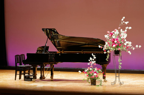 грандіозне піаніно на сцені
 - Фото, зображення