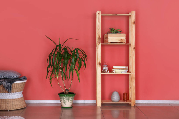 Dřevěná skříň s výzdobou a zelenou rostlinnou v konvici blízko barevné zdi - Fotografie, Obrázek