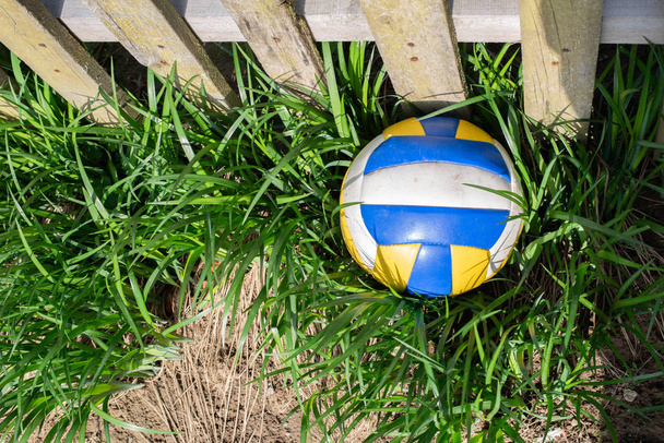 Çimenlerde voleybol topu. Güneşli bir gün - Fotoğraf, Görsel