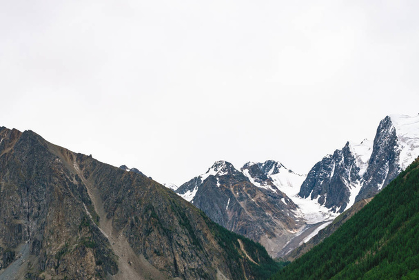 Besneeuwde bergtop achter heuvel met bos onder bewolkte hemel. Rotsachtige heuvelrug in bewolkt weer. Witte sneeuw op de gletsjer. Sfeervolle landschap van majestueuze natuur. - Foto, afbeelding