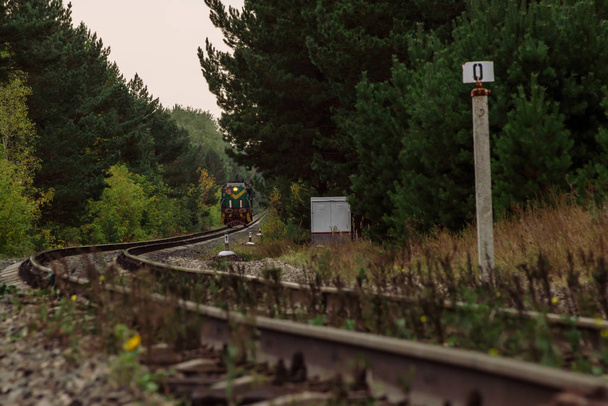 Il treno passa da rotaie per girare in boscaglie dense. Ferrovia contorta nella foresta oscura. Torsioni della locomotiva. Atmosfera oscurità ferroviario paesaggio
. - Foto, immagini
