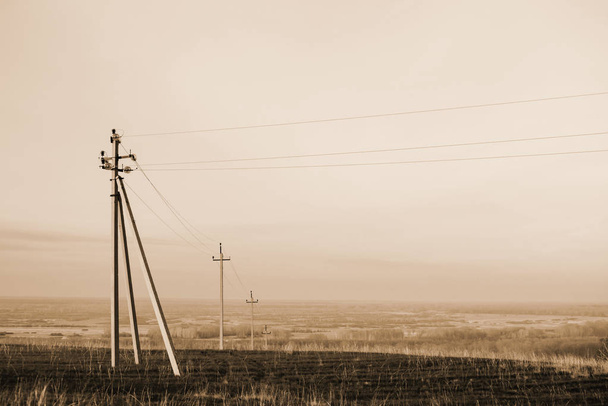 Atmospheric landscape with power lines in field under sky in sepia tones. Background image of electric pillars with copy space. Wires of high voltage above ground. Electricity industry in monochrome. - 写真・画像