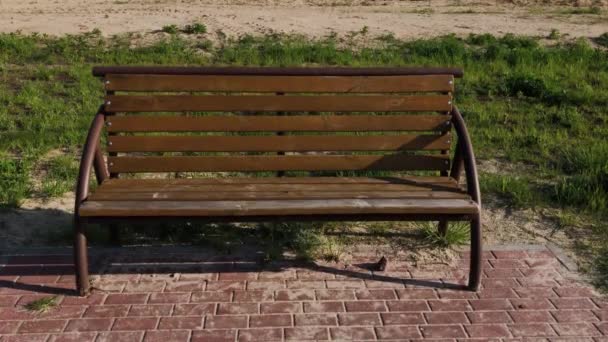 деревянная скамейка в парке. - Кадры, видео