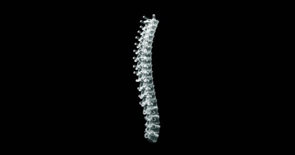 Tela de representação Holograma 3d da coluna vertebral no corpo humano - loop - Filmagem, Vídeo